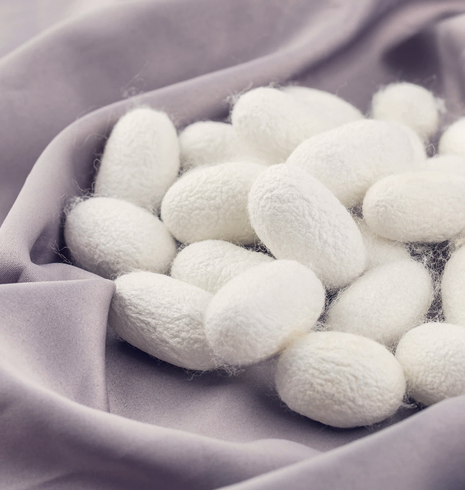 Suzhou Wangu Silk Co., Ltd.